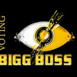 Bigg Boss Voting ( Vote Online) | Contestants | Nominations | Eliminations | Missed Call