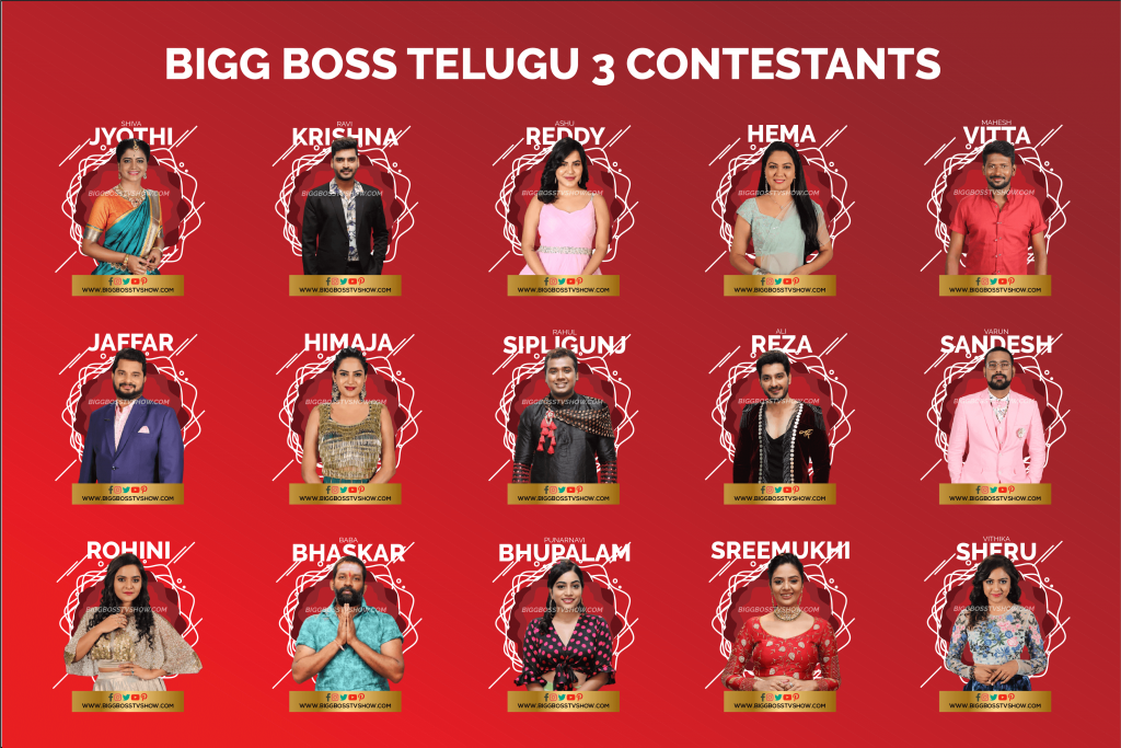 Bigg boss telugu 3 contestant