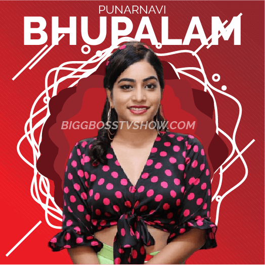 punarnavi bigg boss telugu 3