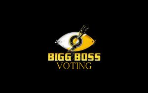 bigg boss voting hindi